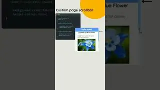 How to Create Custom Scrollbar in CSS | Scrollbar CSS Animation