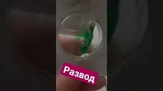 Мой развод