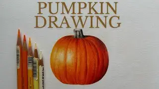 How to draw a pumpkin in coloured pencils | Autumn Drawing Tutorial Timelapse