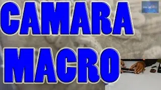 ¡Transforma tu celular en cámara macro! DIY: Lente casero para fotos increíbles