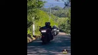 Morro da borússia