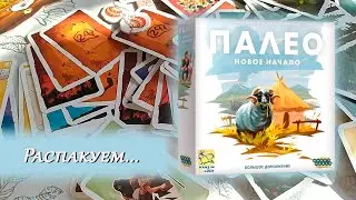 🦣🌾 Paleo: A New Beginning / Unboxing / Component Overview