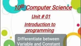Differentiate between variable and constant || 10th Computer Chapter 1