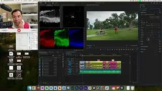 How to Color Grade Panansonic V-log Footage in Premiere Pro