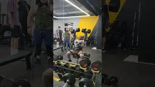 Жим гантелей 50 кг