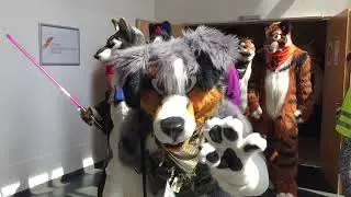 Eurofurence 23 Fursuit Parade - Along The Road
