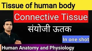 Tissue of Human body (Part-4) Complete connective Tissue in one shot video by Avrendra Singh