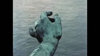 L'EAU DE LA SE1NE (1983) - Teo Hernandez
