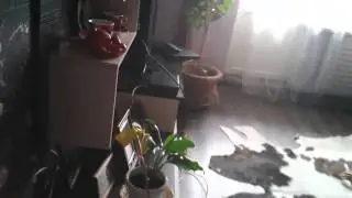 Мы жирные@