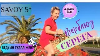Отель Sierra 5* и Savoy 5*  Шарм. Пляж отеля Sierra. Бедуин на верблюде украл жену!!!