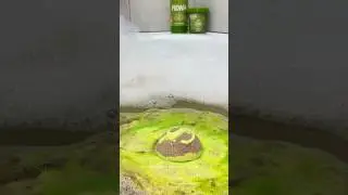 Как можно купаться в БОЛОТЕ?! #шрек #болото #ванна #бомбадляванны #shrek #bathtime