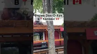 Літні вихідні в 🇨🇦 #canada #канада