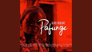 Pafunge