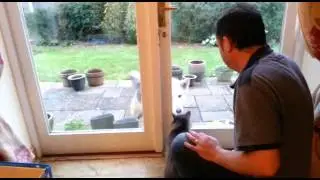 Buster and pesky cat!