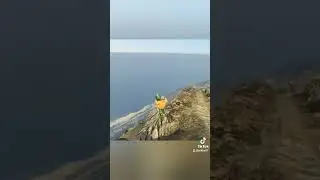 Bro WTF? 