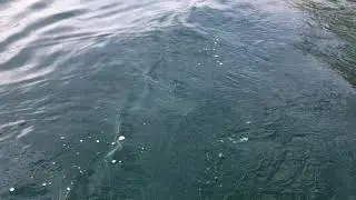 Кусочек рая