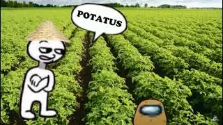 potatus | Amogus Meme