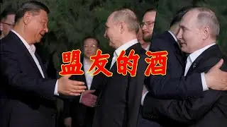 【辱包】盟友的酒（原曲：朋友的酒）|普京访华纪念曲