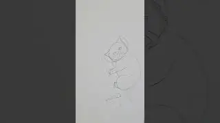 تعلم رسم حيوان الكوالا 🐾🐾🌱