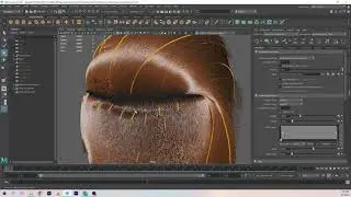 32.  Fixing micro errors in our Xgen groom and preparing for Modifiers