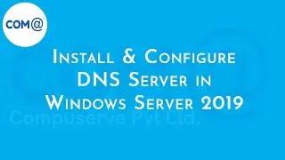 How to Install and Configure DNS Server | Windows Server 2019 | Step by Step Explained