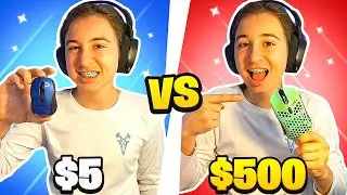 $5 VS $500 Mouse... (INSANE)