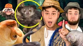 The UGLIEST Animals You Didn't Know Existed!!!