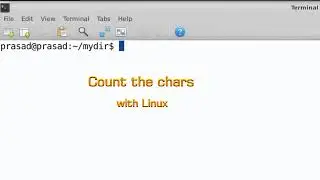 wc command in Linux - count the characters in a text file