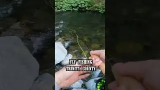 Fly Fishing for Trout in Beautiful Trinity County #shorts #fishing #fish