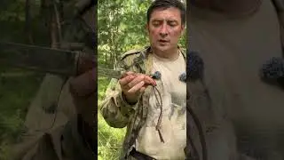 Рекомендую к покупке