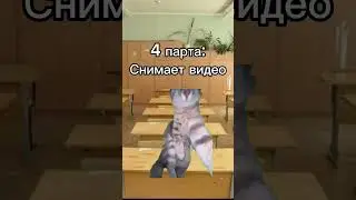 Типы учеников на уроке #мемныекоты #мем #котики #подишись #мой_день #вреееек #жиза