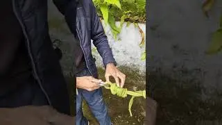 Advance Mountaineering course 192 HMI, Darjeeling.How to make traverse Crossing for crossing stream