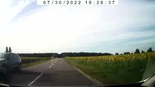 Поле с подсолнухами