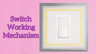 Switch mechanism | 3D | With sound effects