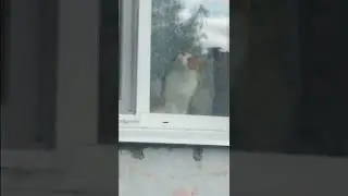 Страшно, очень страшно, мы не знаем, что это такое 