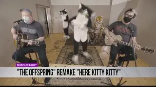 The Offspring remake 