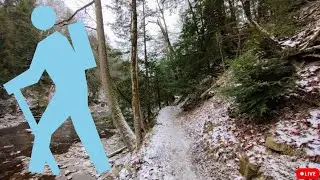 Virtual x Forest Hiking 2.04 / riverside, ledges, snowy