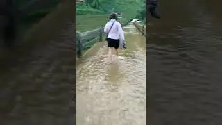 Wonders of Sapa's rain season, Điều kỳ diệu mùa mưa Sapa #sapa #vietnam #seasonalbeauty