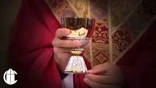 Foundation of the Church and Perseverance in Love: Daily Catholic Mass | Tuesday, October 28, 2025