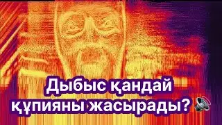 Дыбыс деген не? Дыбыс туралы негізгі ғылым
