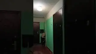 Квартира на ленинградском Ярославль  2023 05 21 at 16 26 15