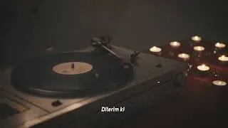 Eren Sensei & Ayla Dikmen - Anlamazdın