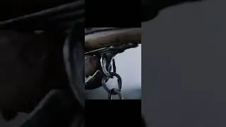 The Tiger
