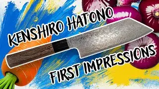 KENSHIRO HATONO R2 DAMASCUS BUNKA - FIRST IMPRESSIONS