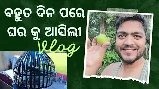 ବହୁତ ଦିନ ପରେ ଘର କୁ ଆସିଲୀ | Odia Vlog | Vlog Video #vlogs