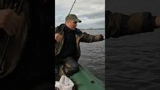 На морском заливе On the sea bay