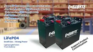 25 6V 230Ah lithium forklift battery (Hot)
