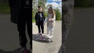 25 апреля 2024 г.