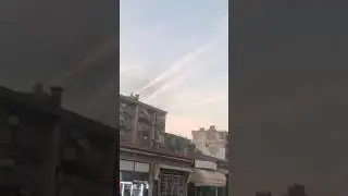 Kuşların hortuma kapılması