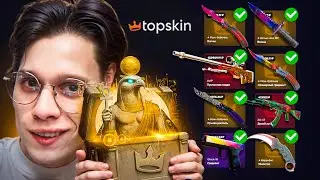I'VE COLLECTED EVERY SKIN FROM THE TOPSKIN LUXURY CASE! AMAZING CONCLUSION...